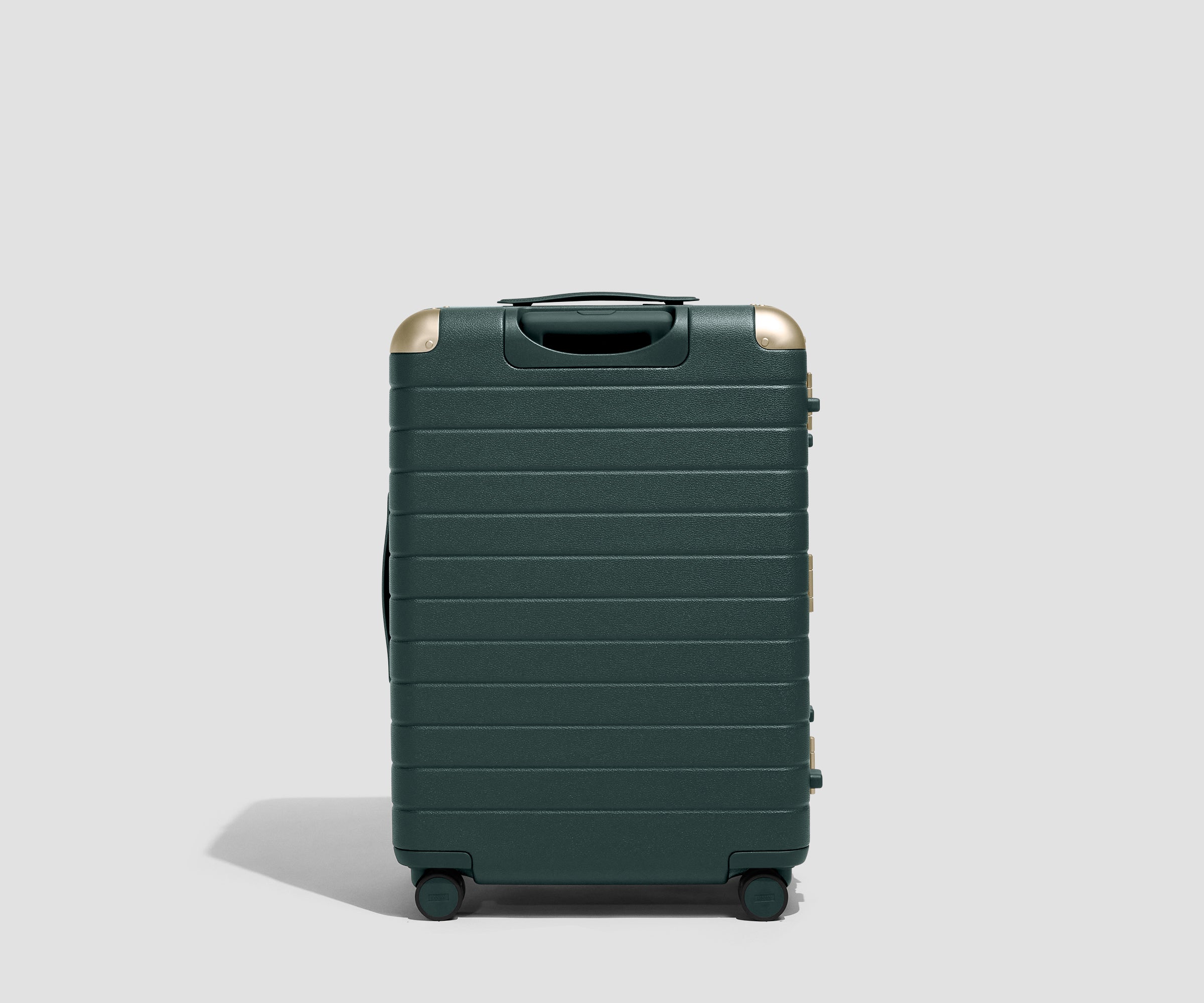 PDP_AluminumFrame_Green_Medium_Back.jpg